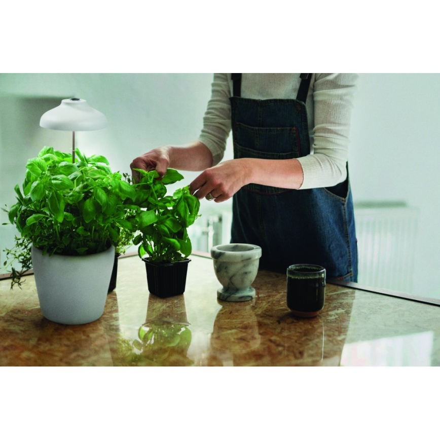 Ledvance - LED Innenleuchte für Pflanzen GARDEN LIGHT LED/5W/5V