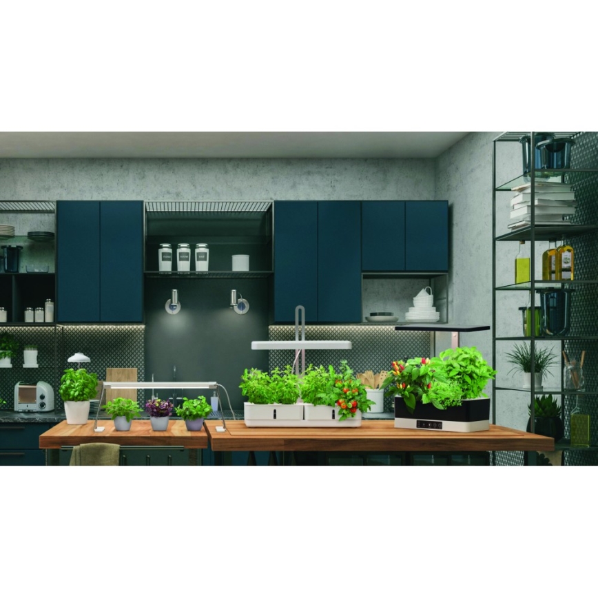 Ledvance - LED Innenleuchte für Pflanzen GARDEN LIGHT LED/5W/5V