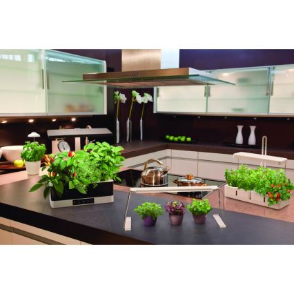 Ledvance - LED Innenleuchte für Pflanzen GARDEN LIGHT LED/5W/5V