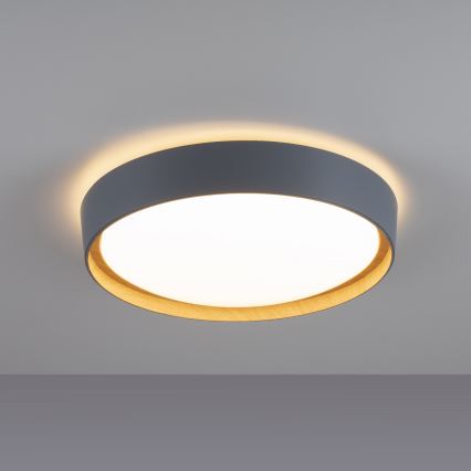 Leuchten Direkt 14347-15 - LED dimmbare Deckenleuchte EMILIA LED/28,8W/230V grau