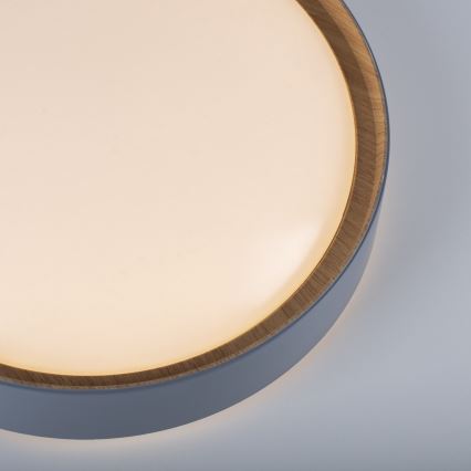 Leuchten Direkt 14347-15 - LED dimmbare Deckenleuchte EMILIA LED/28,8W/230V grau