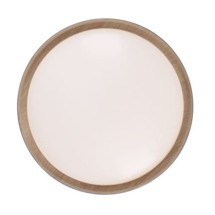 Leuchten Direkt 14347-15 - LED dimmbare Deckenleuchte EMILIA LED/28,8W/230V grau