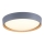 Leuchten Direkt 14347-15 - LED dimmbare Deckenleuchte EMILIA LED/28,8W/230V grau