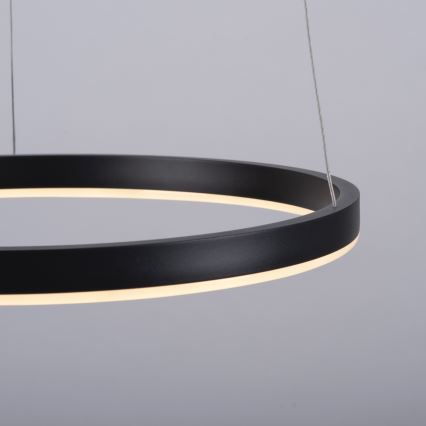 Leuchten Direkt 15393-13 - LED dimmbare Hängeleuchte an Seil RITUS LED/20W/230V schwarz