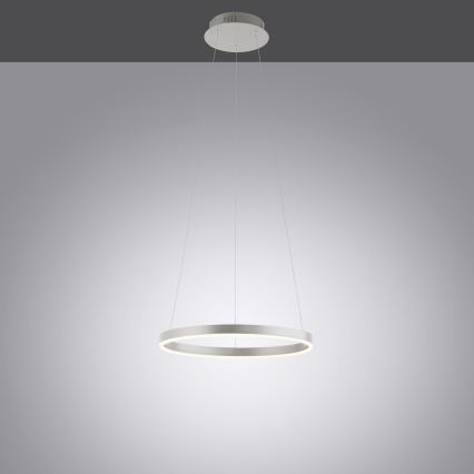 Leuchten Direkt 15393-95 - LED dimmbare Hängeleuchte auf Seil RITUS LED/20W/230V mattchrom