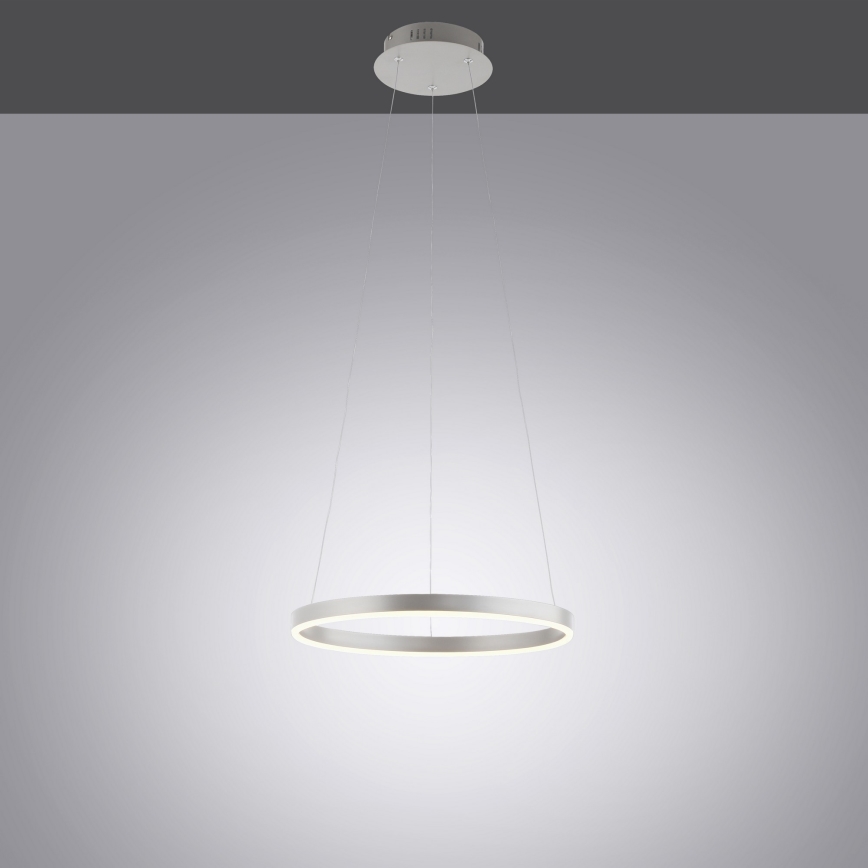 Leuchten Direkt 15393-95 - LED dimmbare Hängeleuchte auf Seil RITUS LED/20W/230V mattchrom