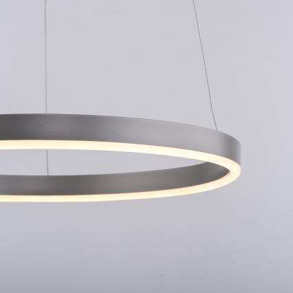 Leuchten Direkt 15393-95 - LED dimmbare Hängeleuchte auf Seil RITUS LED/20W/230V mattchrom
