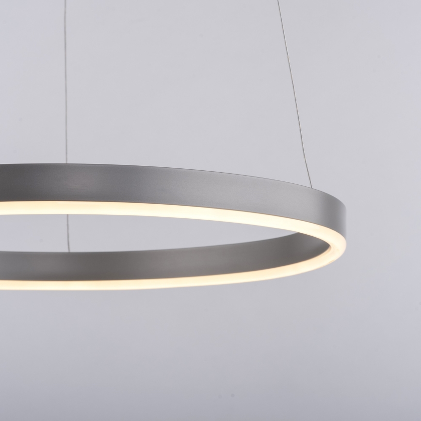 Leuchten Direkt 15393-95 - LED dimmbare Hängeleuchte auf Seil RITUS LED/20W/230V mattchrom
