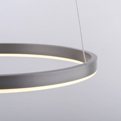 Leuchten Direkt 15393-95 - LED dimmbare Hängeleuchte auf Seil RITUS LED/20W/230V mattchrom