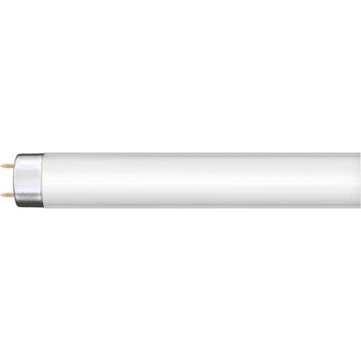 Leuchtstoffröhre G13/36W/230V 120 cm - Narva 108132000
