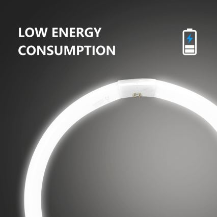 Leuchtstoffröhre T9 G24q-1/40W/230V 6500K - Aigostar