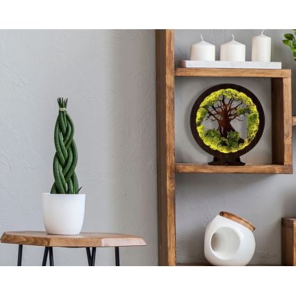 Li-Go 23604/DUB2 - Dimmbare LED-Tischdekoration LED/12W/230V 20x22 cm Eiche/Moos und Baum