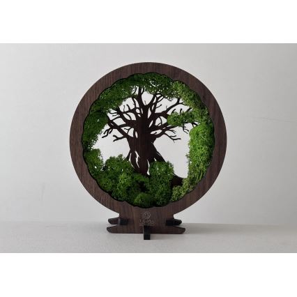 Li-Go 23604/DUB2 - Dimmbare LED-Tischdekoration LED/12W/230V 20x22 cm Eiche/Moos und Baum