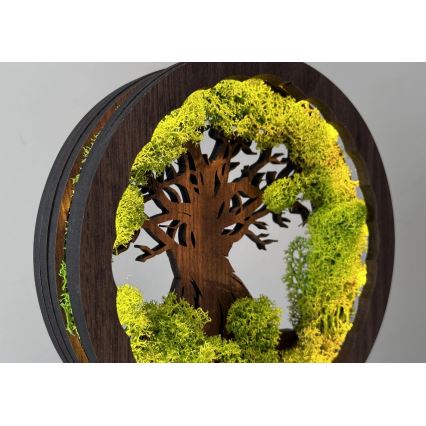 Li-Go 23604/DUB2 - Dimmbare LED-Tischdekoration LED/12W/230V 20x22 cm Eiche/Moos und Baum