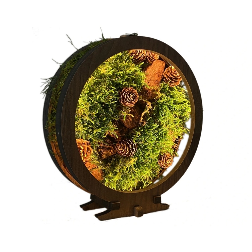 Li-Go 23654 - Dimmbare LED-Tischdekoration LED/12W/230V 20x22 cm Nussbaum/Moos-Arrangement