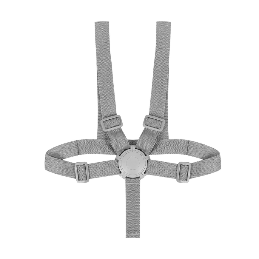 Lionelo - Kinderhochstuhl 4-in-1 DALIA SET Grey Stone Natural