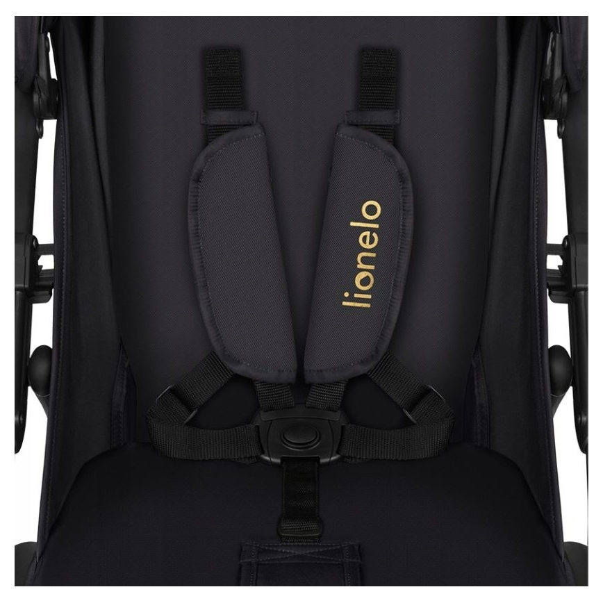 Lionelo - Sport-Kinderwagen ANNET PLUS Golden Moments