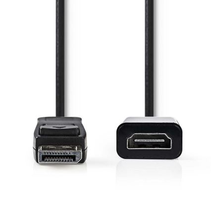 HDMI-Kabel mit DisplayPort-Stecker - HDMI-Ausgang 0,2 m