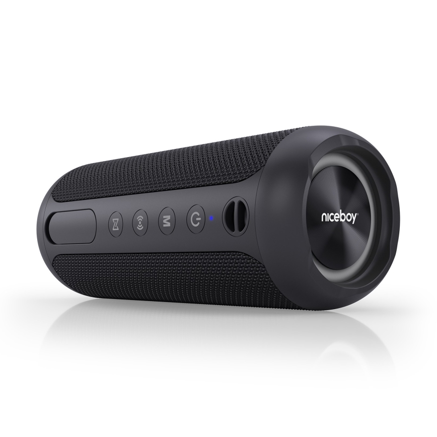 Niceboy Polaris - LED kabelloser Lautsprecher mit Mikrofon 30W/2000 mAh IPX7 schwarz