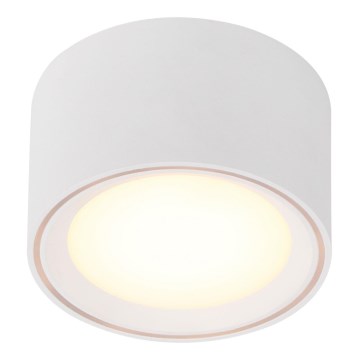 Nordlux - dimmbarer LED-Spot FALLON LED/5,5W/230V weiß