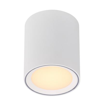 Nordlux - Dimmbare LED-Spotleuchte FALLON LONG LED/5,5W/230V weiß