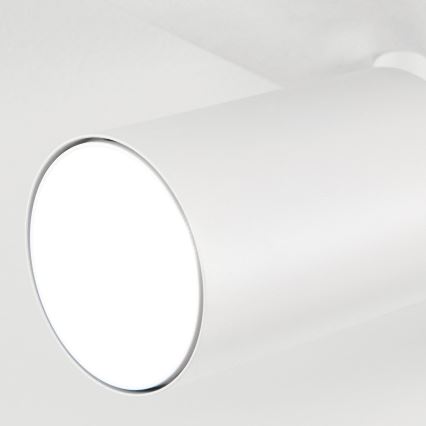 Deckenspot SEAN 5xGU10/13W/230V weiß