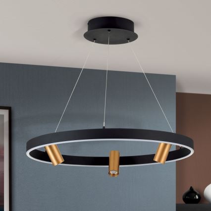 LED dimmbare Hängeleuchte an Kabel BERLIN LED/50W/230V schwarz/gold