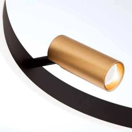 LED dimmbare Hängeleuchte an Kabel BERLIN LED/50W/230V schwarz/gold