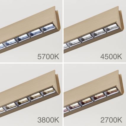 Dimmbare LED-Hängeleuchte TARA LED/44W/230V 2700/3800/4500/5700K golden