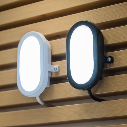 Osram - LED-Außenwandleuchte BULKHEAD LED/6W/230V IP54 schwarz