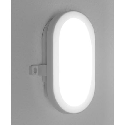 Osram - LED Außenwandleuchte BULKHEAD LED/6W/230V IP54 weiß