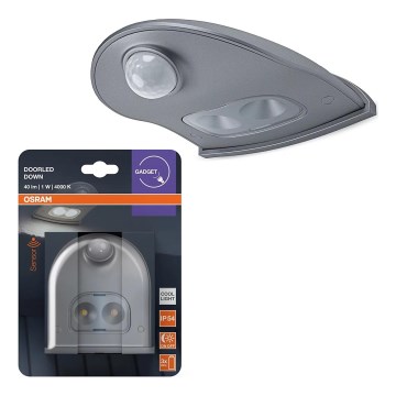 Osram - LED Außenwandleuchte mit Sensor DOORLED LED/0,5W/3xAA IP54 silber