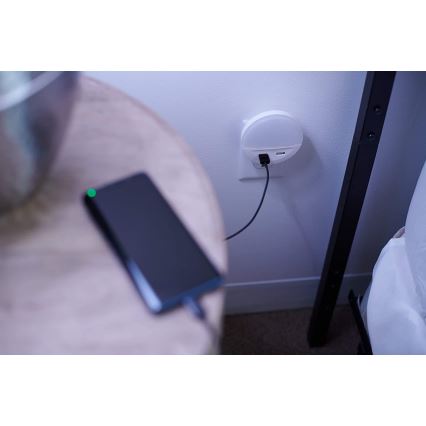 Osram - LED-Nachtlicht für die Steckdose mit Sensor LUNETTA 2xUSB LED/13W/230V