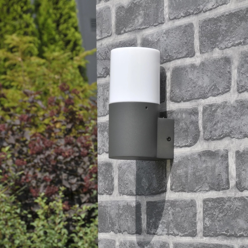 Outdoor-Wandleuchte DALLAS 1xE27/12W/230V IP44 anthrazit