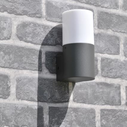 Outdoor-Wandleuchte DALLAS 1xE27/12W/230V IP44 anthrazit