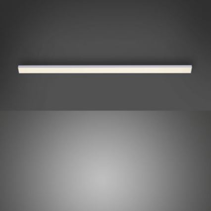 Paul Neuhaus 1125-21-A - LED Erweiterungs-Unterbauleuchte AMON LED/6W/12/230V