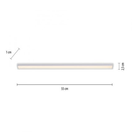 Paul Neuhaus 1125-21-A - LED Erweiterungs-Unterbauleuchte AMON LED/6W/12/230V