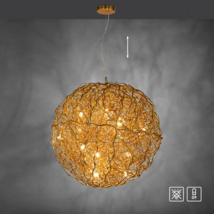 Paul Neuhaus 2019-12 - Pendelleuchte SAREA an Kabel, 15xG9/40W/230V, goldfarben