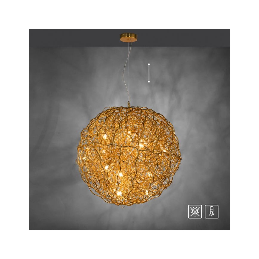 Paul Neuhaus 2019-12 - Pendelleuchte SAREA an Kabel, 15xG9/40W/230V, goldfarben