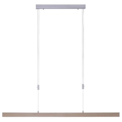 Paul Neuhaus 2568-78 - Dimmbare LED-Hängeleuchte an Schnur ADRIANA LED/14W/230V 2700-5000K