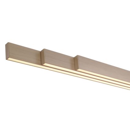 Paul Neuhaus 2568-78 - Dimmbare LED-Hängeleuchte an Schnur ADRIANA LED/14W/230V 2700-5000K