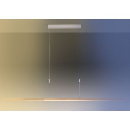 Paul Neuhaus 2568-78 - Dimmbare LED-Hängeleuchte an Schnur ADRIANA LED/14W/230V 2700-5000K