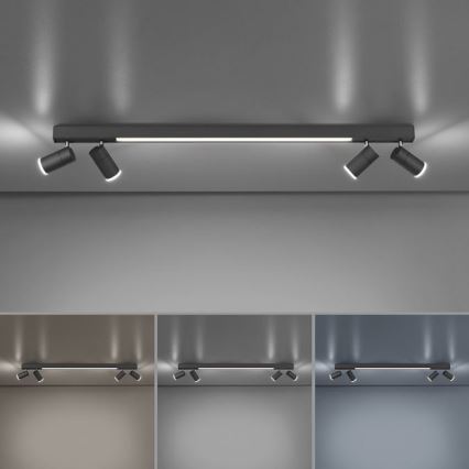 Paul Neuhaus 6121-13 - LED dimmbares Einbauleuchte PURE 4xLED/4W/230V + LED/9W 2700-5000K + Fernbedienung