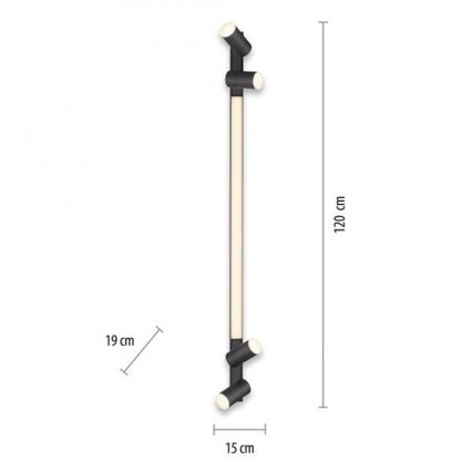 Paul Neuhaus 6121-13 - LED dimmbares Einbauleuchte PURE 4xLED/4W/230V + LED/9W 2700-5000K + Fernbedienung