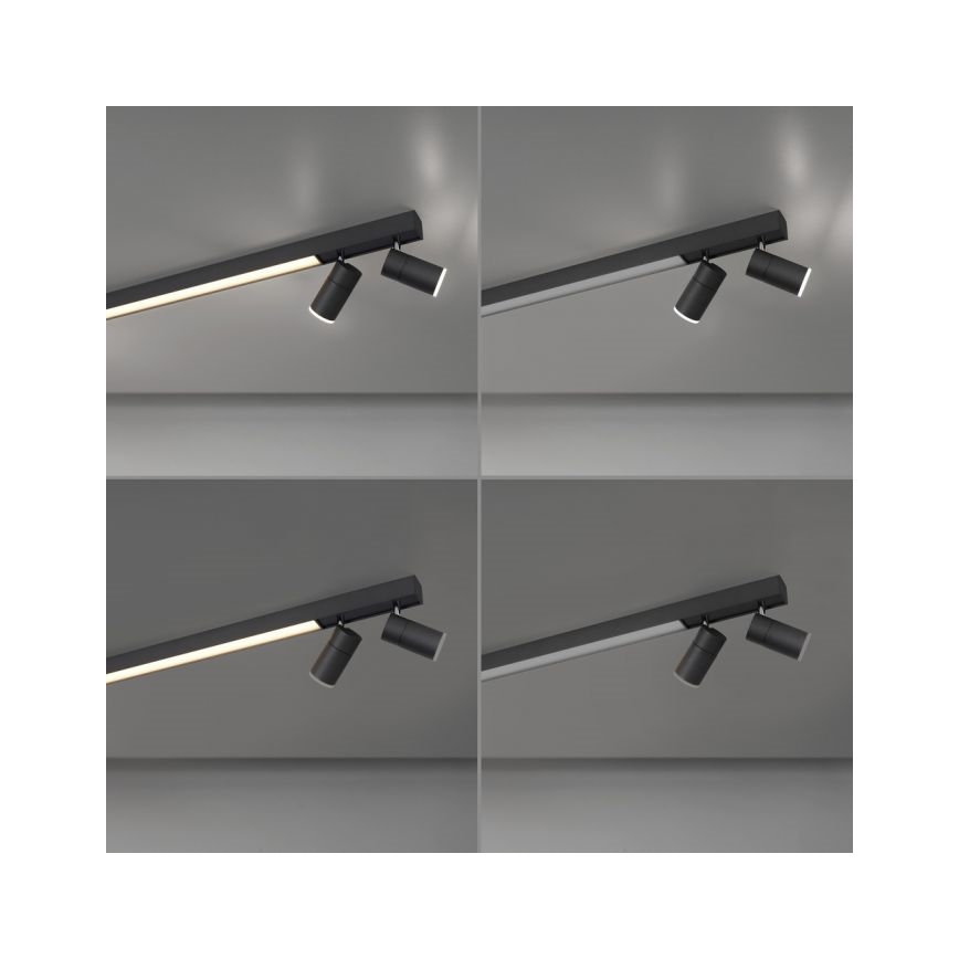 Paul Neuhaus 6121-13 - LED dimmbares Einbauleuchte PURE 4xLED/4W/230V + LED/9W 2700-5000K + Fernbedienung