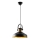 Pendelleuchte DODO mit Kabel 1xE27/40W/230V schwarz/bronze