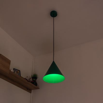 Pendelleuchte ETNA mit Kabelaufhängung, 1 x E27, 15 W, 230 V, Ø 25 cm, grün