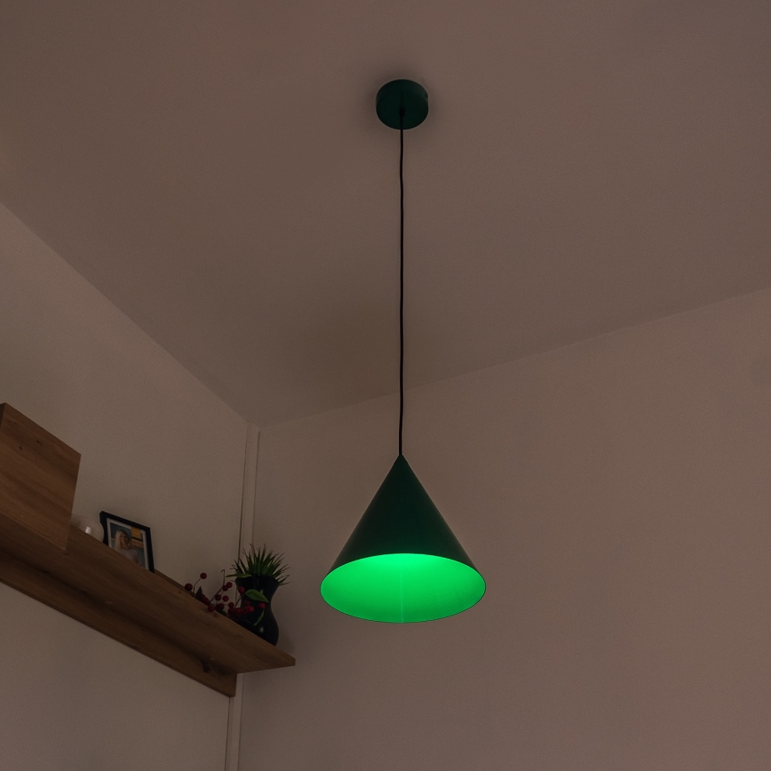 Pendelleuchte ETNA mit Kabelaufhängung, 1 x E27, 15 W, 230 V, Ø 25 cm, grün