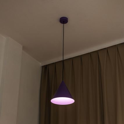 Pendelleuchte ETNA mit Kabelaufhängung, 1x E27/15W/230V, Ø 25 cm, violett