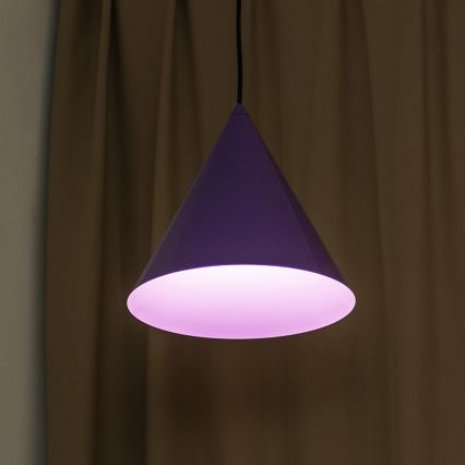 Pendelleuchte ETNA mit Kabelaufhängung, 1x E27/15W/230V, Ø 25 cm, violett